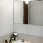 Saraj 호텔 3*